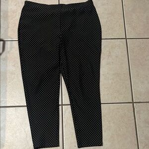 Black Polka Dot Women's Chicos  Pants